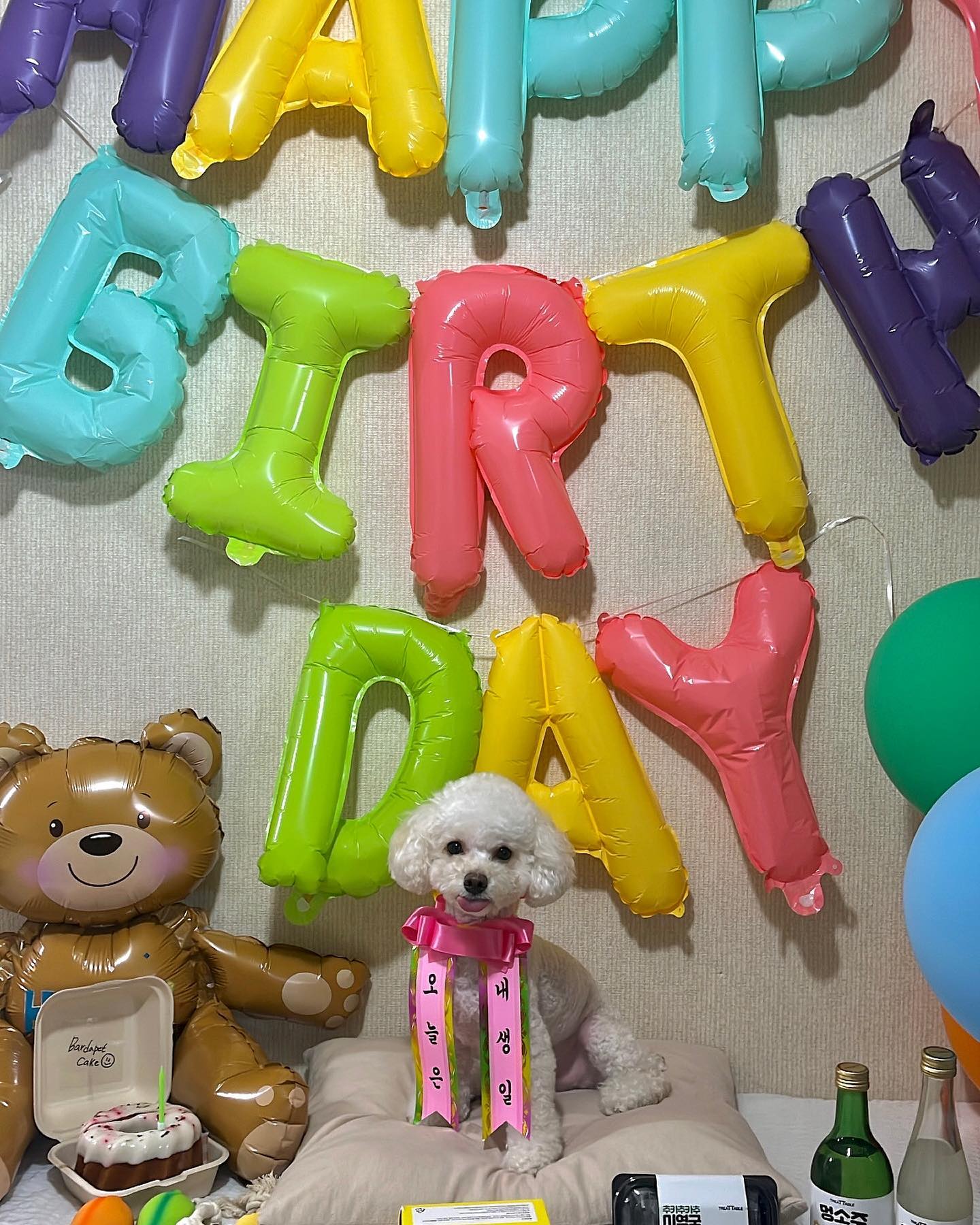 2022.08.22 보리 생일🎉
.
.
.
이제야 올리네 ㅠㅜㅋㅋㅋ
#강아지 #개스타그램 #생일 #보리 #강아지생일 #댕댕이 #멍팔 #멍팔맞팔 #멍팔환영 #강아지케이크 #강아지장난감 #강아지그램 #생일파티 #강아지스타그램 #댕댕이그램 #두살 #강아지맞팔 #강아지간식 #멍소주 #멍걸리 #강아지수제간식 #강아지닭발 #강아지용품 #강아지생일파티 #생일축하해 #강아지화관 #생일케이크 #생일풍선 #강아지꼬깔 #두살생일