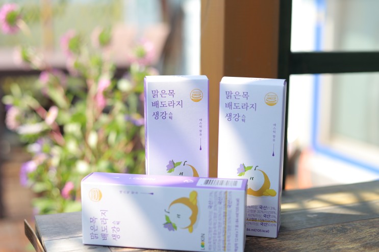 환절기에 필수 , 루킨 건강스틱 액상차 맑은목배도라지생강스틱 / 뮤지컬배우지망생 필수템 / 환절기 필수템
