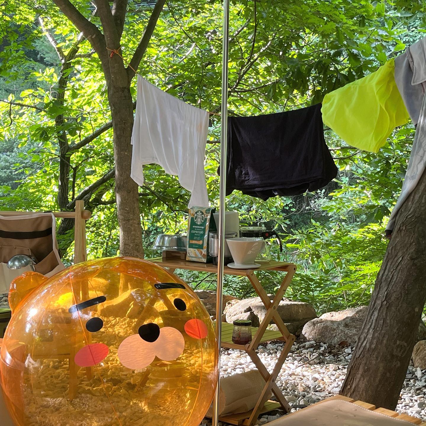 .
여름이 끝나가는 요즘 
계곡 물놀이가 끝나가는 것 같아 아쉬워 😔
곧 단풍캠 가야지