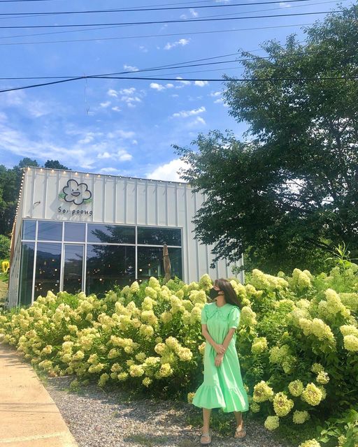 얀✨ on Instagram: "수국 막차 타세요,,!! 저도 수국 지기전에 얼른 다녀왔어요💚🤍 카페 규모가 정말 크고, 이름 그대로 소풍을 즐기러 갈 수 있는 곳이에요. 피크닉세트도 대여 가능하고 포