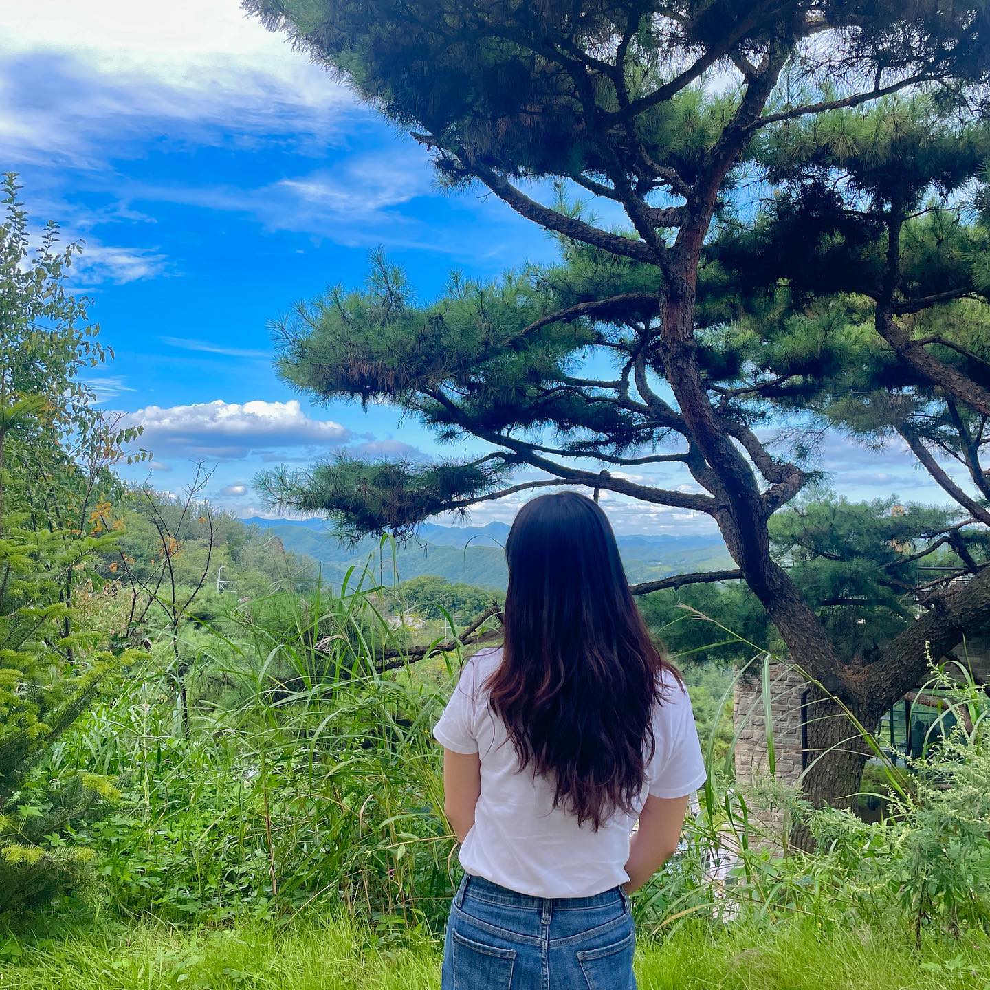 원주에 있는 초대형 마운틴뷰 카페 🌿

8200평 규모의 대형 카페로 전용 산책로부터 야외 테라스석, 내부석까지 엄청난 규모의 카페에요❕
‘사이코지만 괜찮아’ 드라마 촬영지로도 유명한 핫플중 핫플💥
규모가 워낙 커서 하루 날잡고 여기 둘러만 봐도 시간이 순삭…🕰
베이커리 종류도 다양했어용 빵 맛은 쏘쏘...ㅎㅎ

옥상존에서 사진 찍으면 인생샷 건질 수 이쒀용✌️
곳곳에 나무와 풀, 드넓은 산까지 완벽 그자체 뷰🌿
산속에 둘러쌓여 있어서 피톤치드와 힐링을 얻을 수 있는 곳이에용😳

원주에서 마운틴뷰 카페를 찾으신다면 방문 어떠세요〰️⁉

📍원주 #사니다카페 
✔️ 강원 원주시 호저면 칠봉로 109-128
✔️ 주차 : ⭕️
✔️ 영업 시간 : 매일 10:00 ~ 21:00
✔️ 아메리카노 5,500원~

📝️ 주말에는 사람이 많은 편이라 좋은 자리를 앉고 싶다면 이른 방문 추천드려용🫶🏻