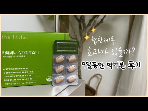 카테바나슈가컷부스터 9일 섭취후기 브이로그