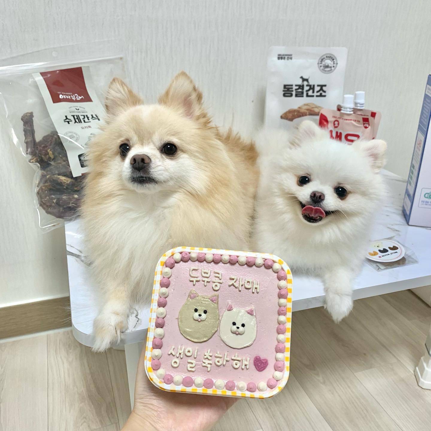 ❤︎
오늘 저희 두부콩자매 생일 파티했어요 😊

생일상에 뭔가 없는거 같지만 사실 집에 한가득 있어서.. 🤣
방 하나를 애들 제품 창고로 쓰고 있어서
따로 주문한건 딱히 없네요

20160901 두부는 6살이 되었고
20190904 콩이는 3살이 된답니다
둘 다 9월생이고 3일 차이 밖에 안나서 매년 같이 해요〰️

우리 공주들 생일 너무 축하해 💕
앞으로 아프지말고 평생 건강하고
언니랑 행복한 시간만 가득 보내자🥰

엄청 많이 사랑해 ฅ*•ω•*ฅ♡ 내 소중한 보물들 ❤️