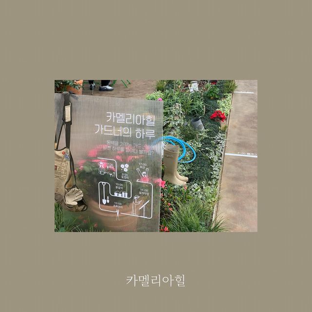하린 on Instagram: "1/29 @camelliahilljeju"