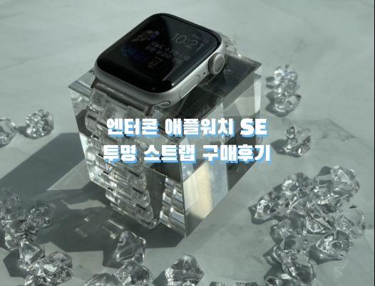 엔터콘 애플워치SE 투명 스트랩 교체 후기⌚️