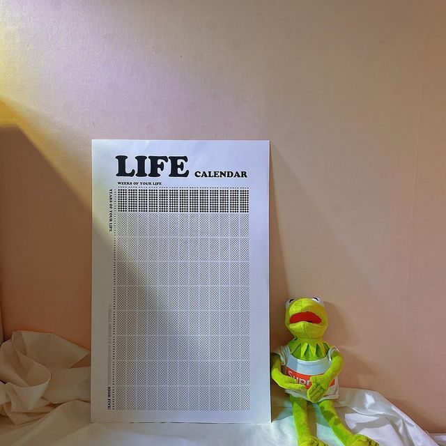 (⋆ૢʾ ˙̫̮ ʿ⋆ૢ) on Instagram: "신박한 만년 달력포스터, 라이프캘린더! 내 인생의 시간을 포스터로 만든 느낌이라 새롭고, 남을 시간들을 카운트 다운하는 느낌 ㅎㅎ 나도 하나씩 채워나가
