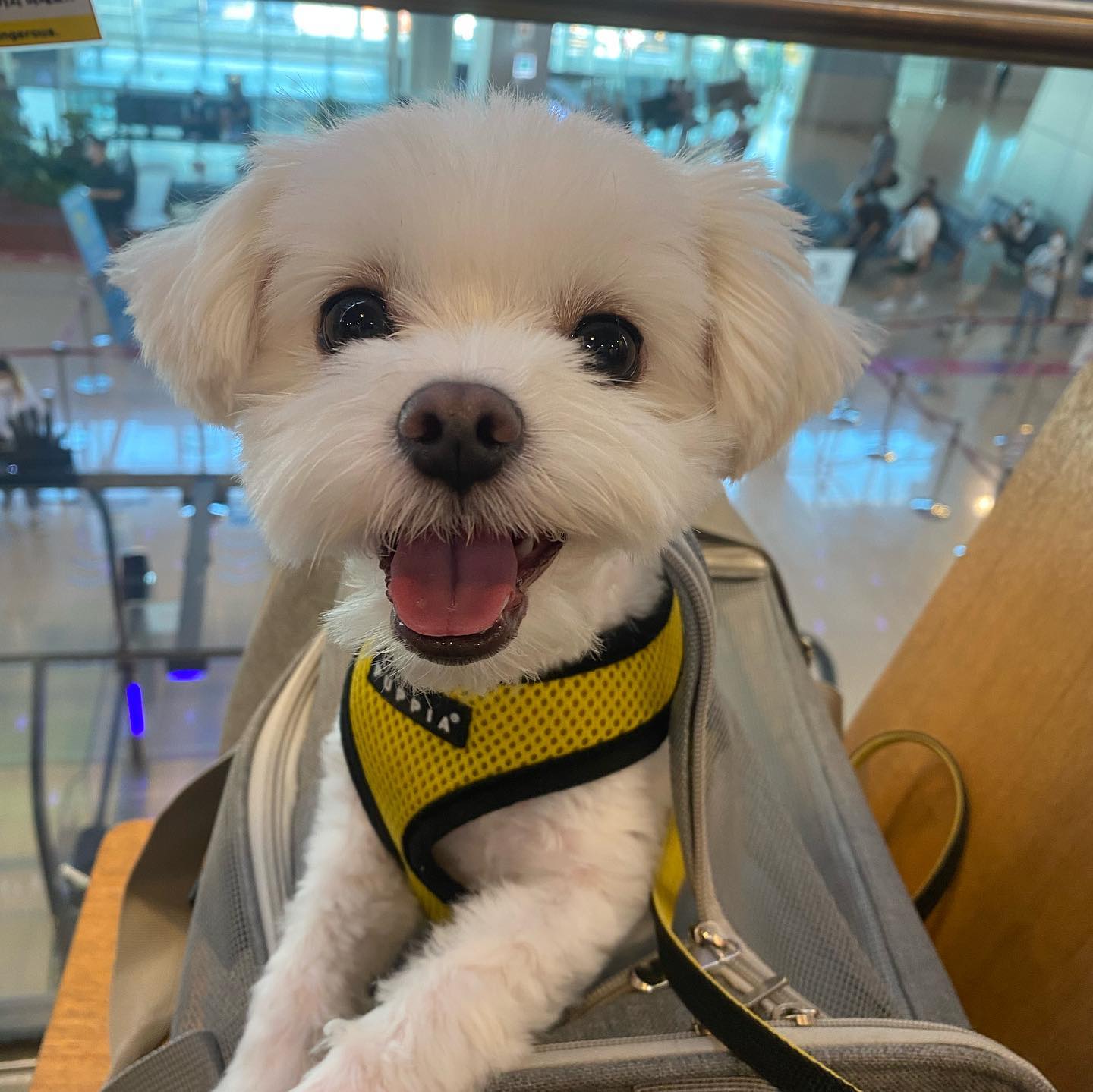 제주✈️