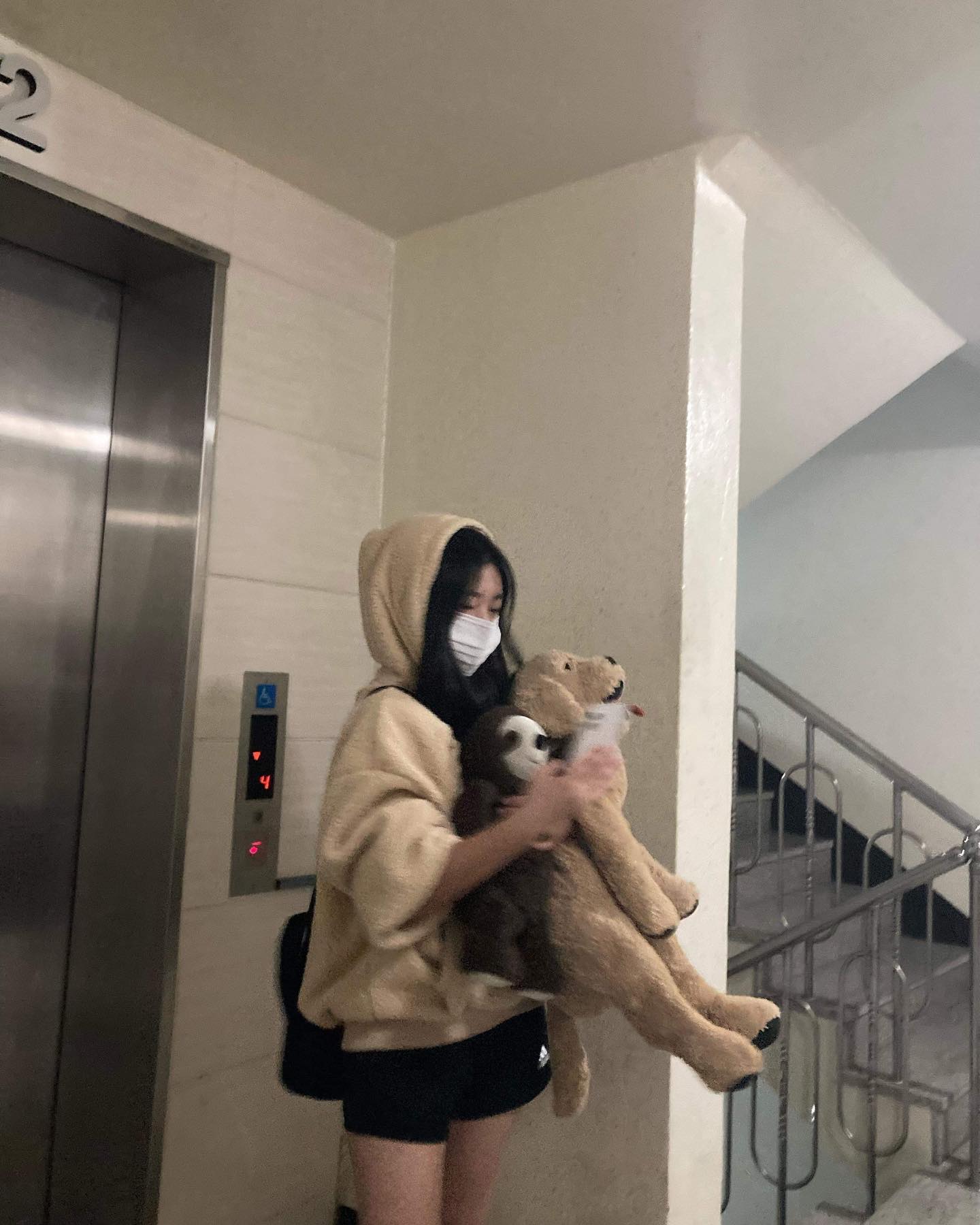 🐶