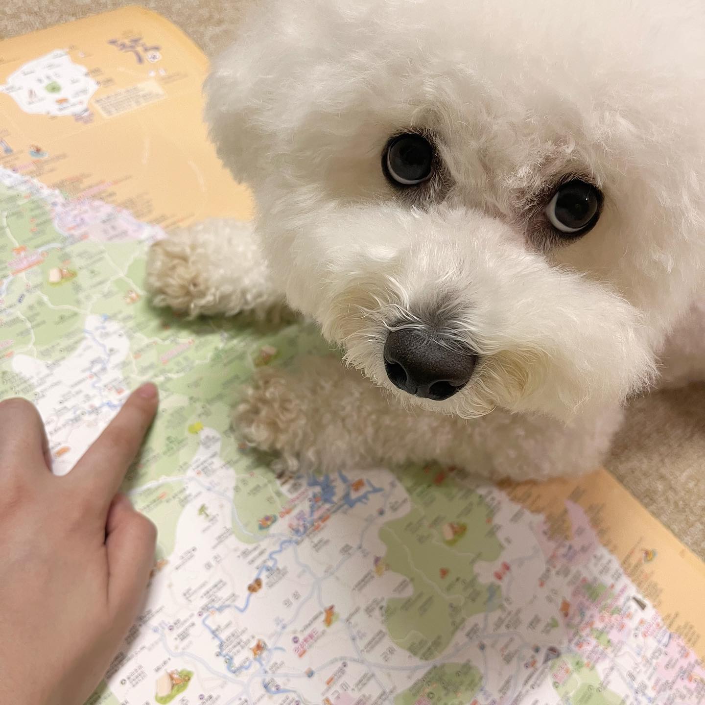 여행을 떠나볼까?? 🥰