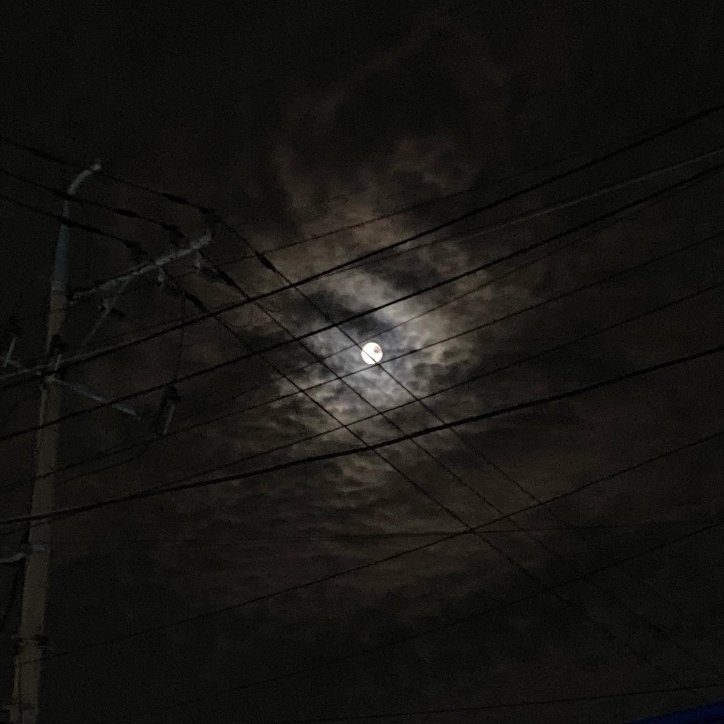 다들 즐추🌕
