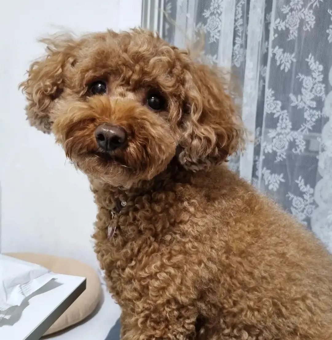 .
별이 생존신고

#별아 #아프지말자 #언니맘 #찢어짐