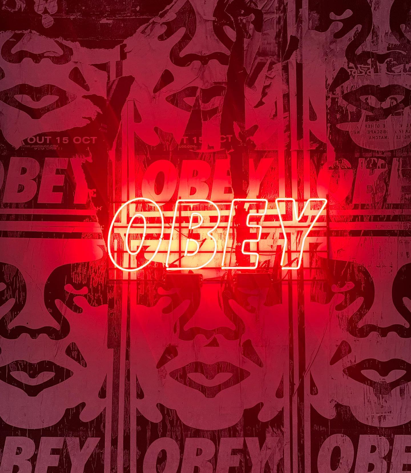 OBEY🔥