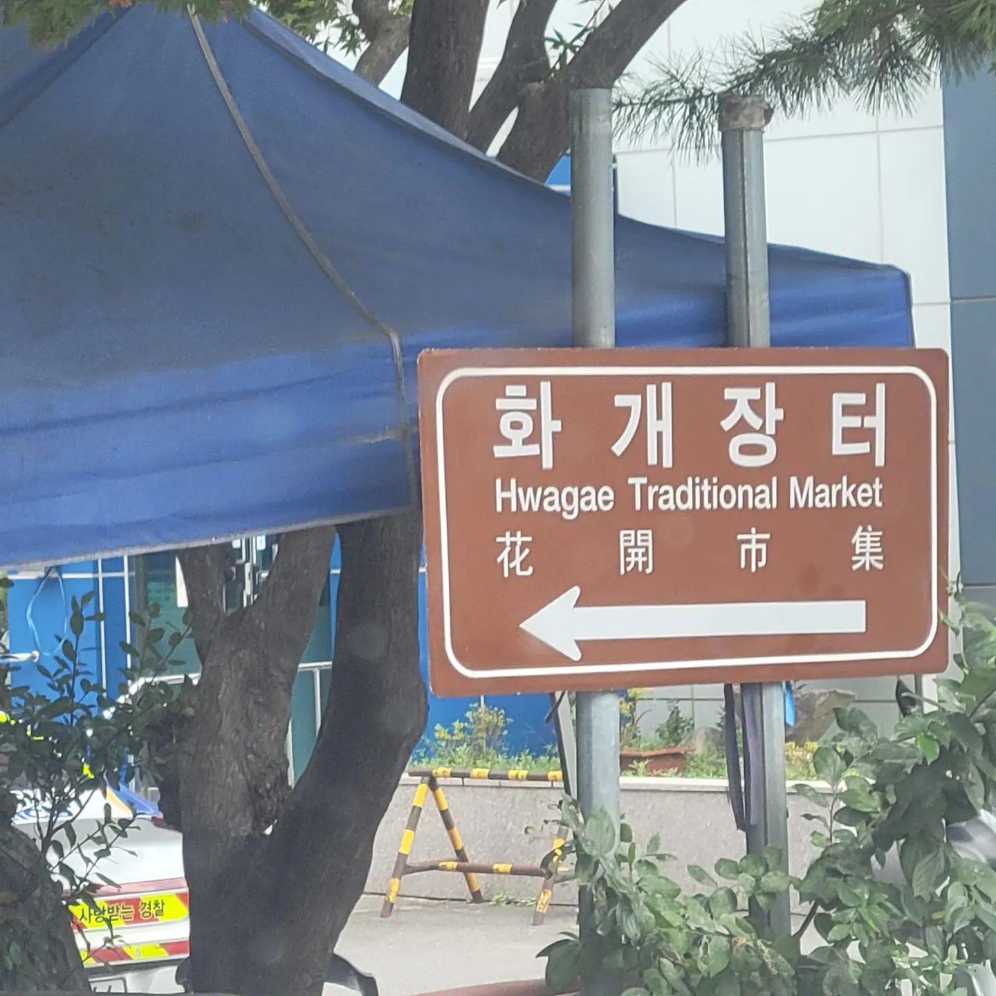 화개장터라는 곳을 지나감~
여기가 그 유명한 화개장터래요.

조영남의 회개장터 노래가 생각나네요.
경상도와 전라도를 가르지르는
섬진강 줄기따라 화개장터에~ 구경 한번 와보세요~ 
.
그래서 와~봤다~ 지나간다~
.
#화개장터 #섬진강 #경상도 #전라도 #조영남 #포크송