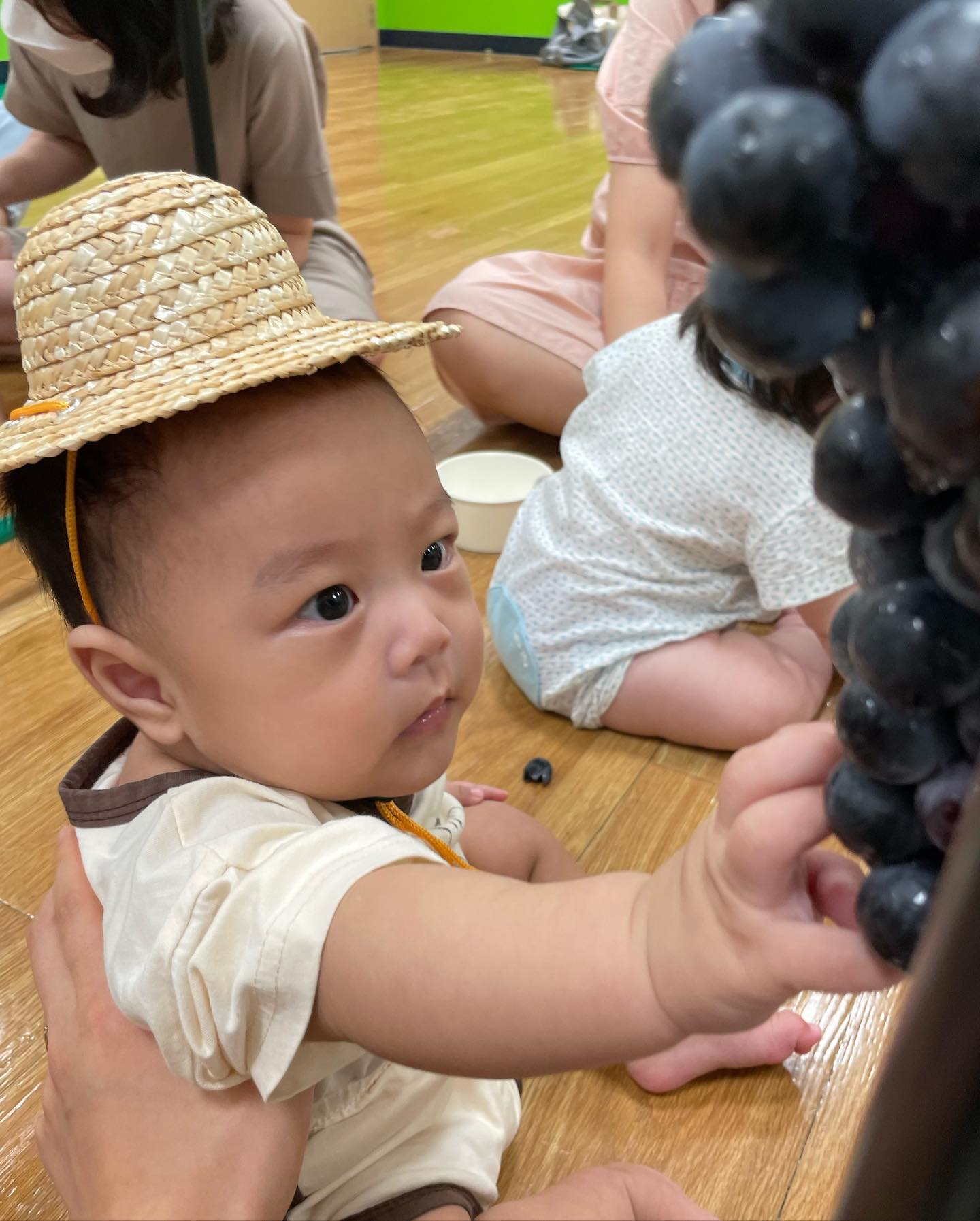 첫 문센에서 포도보고 환장,,😵‍💫
#아기농부