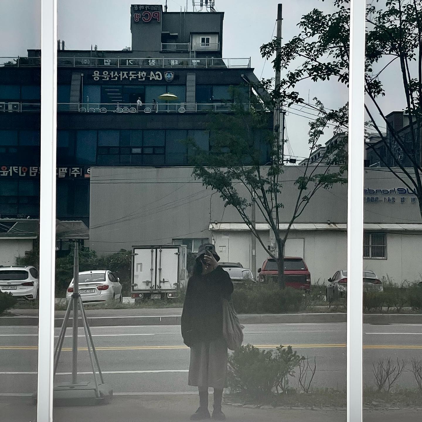 나들이
