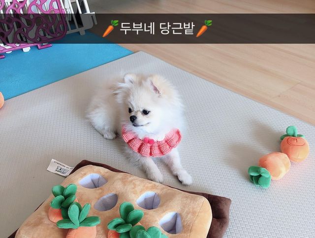 두부 on Instagram: "#이벤트당첨후기 블루레이샵(@bluerey.shop ) 당근밭 이벤트에 운좋게 당첨되어 ᄃ