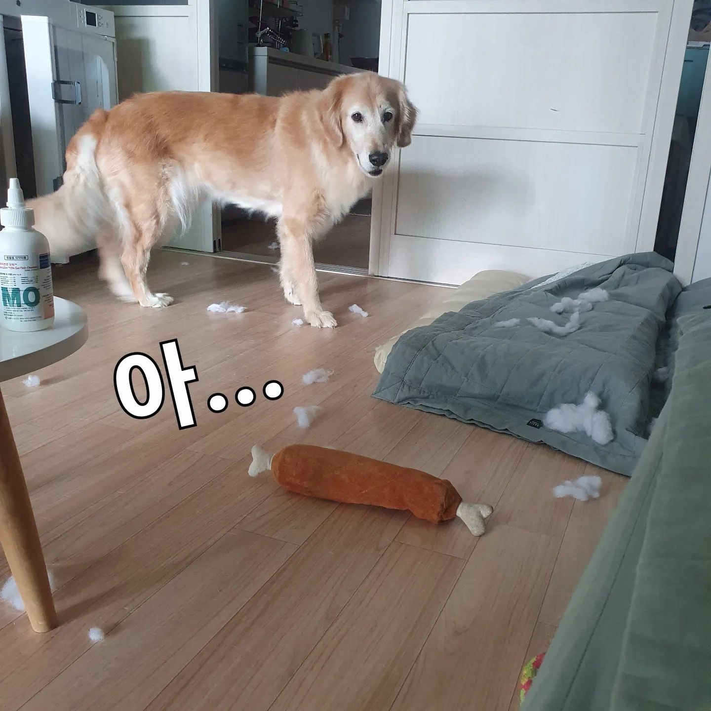 23. 9. 18
🐶 그래도 오래버텨줘 뼈다귀 장난감..

장난감이 커서 그런지ㅜ 
그래도 오래버틴 우리 뼈다구장난감님 잘가세오..

#골댕이는사랑입니다 #골든리트리버 #골든리트리버그램 #골든리트리버스타그램 #골댕 #골댕이 #골댕이는사랑입니다❤ #골댕이그램 #강아지장난감 #강아지장난감추천 #대형견장난감 #대형견모델 #대형견스타그램 #대형견