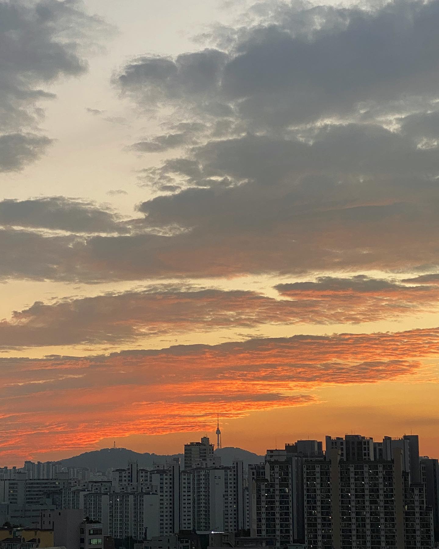 하늘 쳐다보는 게 반인 새로운 공간에서의 뒤죽박죽 적응기