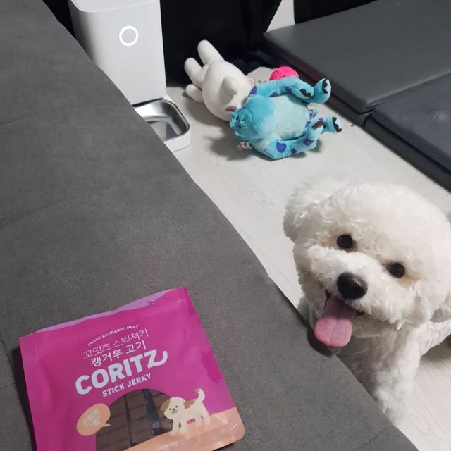 오천둥⚡️오하트💝 on Instagram: "진짜 캥거루 고기 간식 대박 잘먹어요💖 천둥이 입 까다로워요😭 진짜 말캉 말캉 겁나 잘먹어요 <진짜 천둥엄마 내돈내산 후기> 가격 초 저렴이에요"