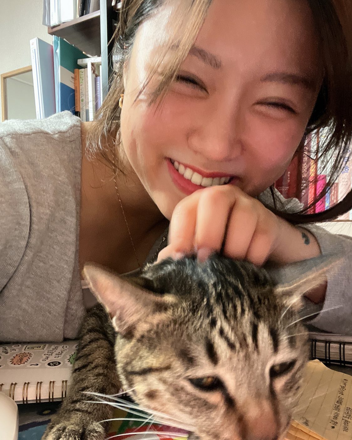 😸