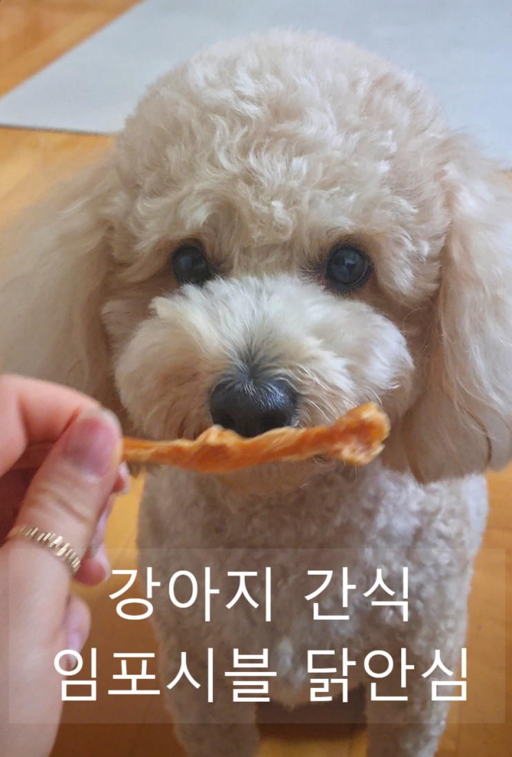 [임포시블] 휴먼 그레이드 애견 수제간식 '임포시블 닭 안심'