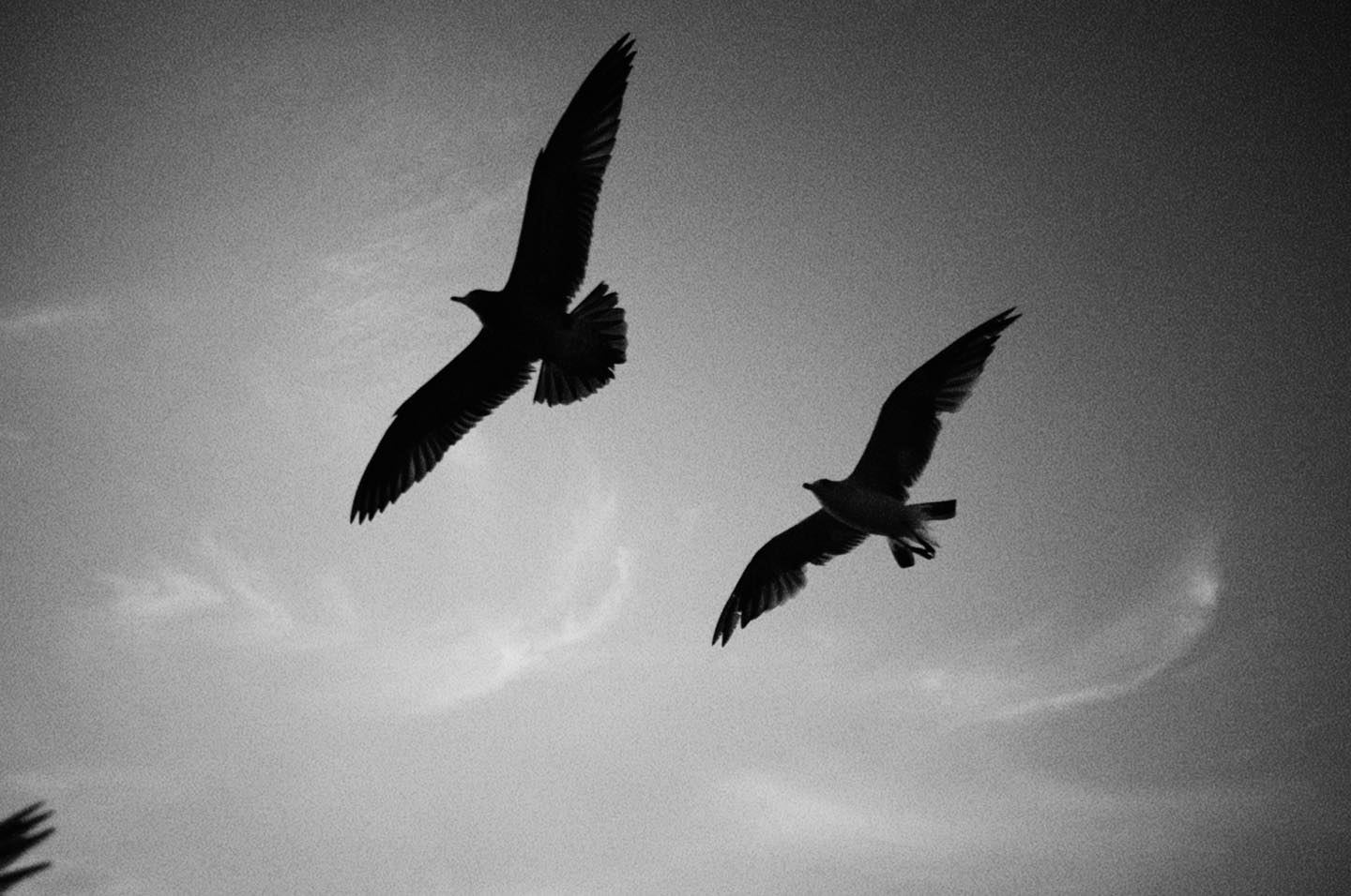 #fujifilm #black
