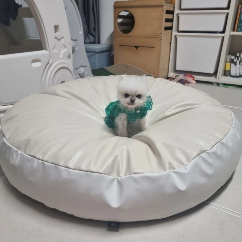 우리 솝이의 새로운 방석
#강아지빈백
크기가 커보이지만
우리집 공주님 샴푸🐱랑
함께 쓰려면 요정도는 되야징🥰🥰🥰
방수 원단 촉오👍🏻

#퍼핑 #강아지빈백 #퍼핑빈백
_pupping