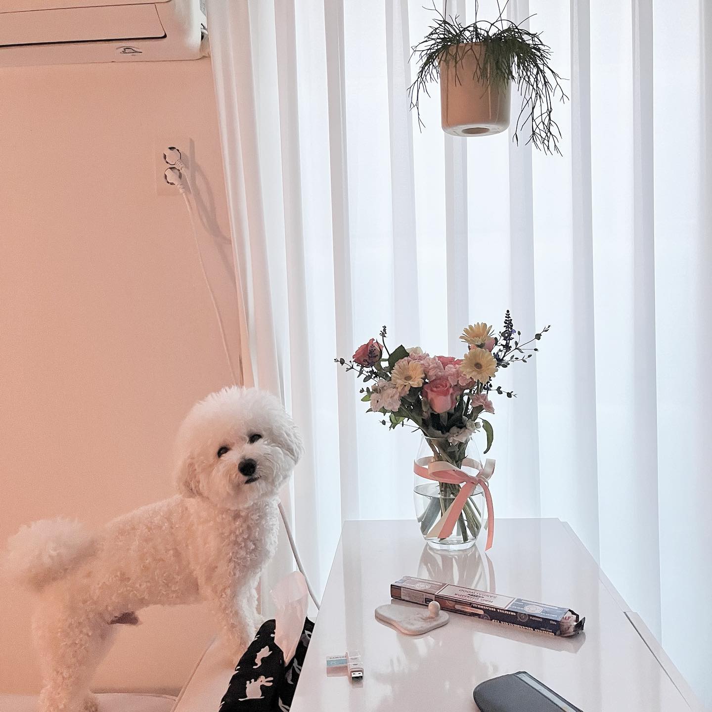 꽃구경 🌸💐🍃
