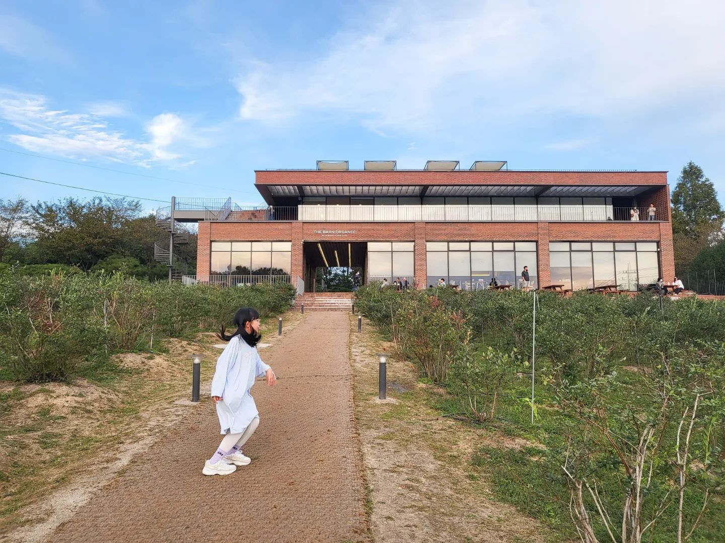 블루베리 농장 카페 
산책하기 좋은 날 
-
#이천여행 #경기도이천카페 #가족여행
#블루베리농장 #블루베리베이커리 
#더반올가닉