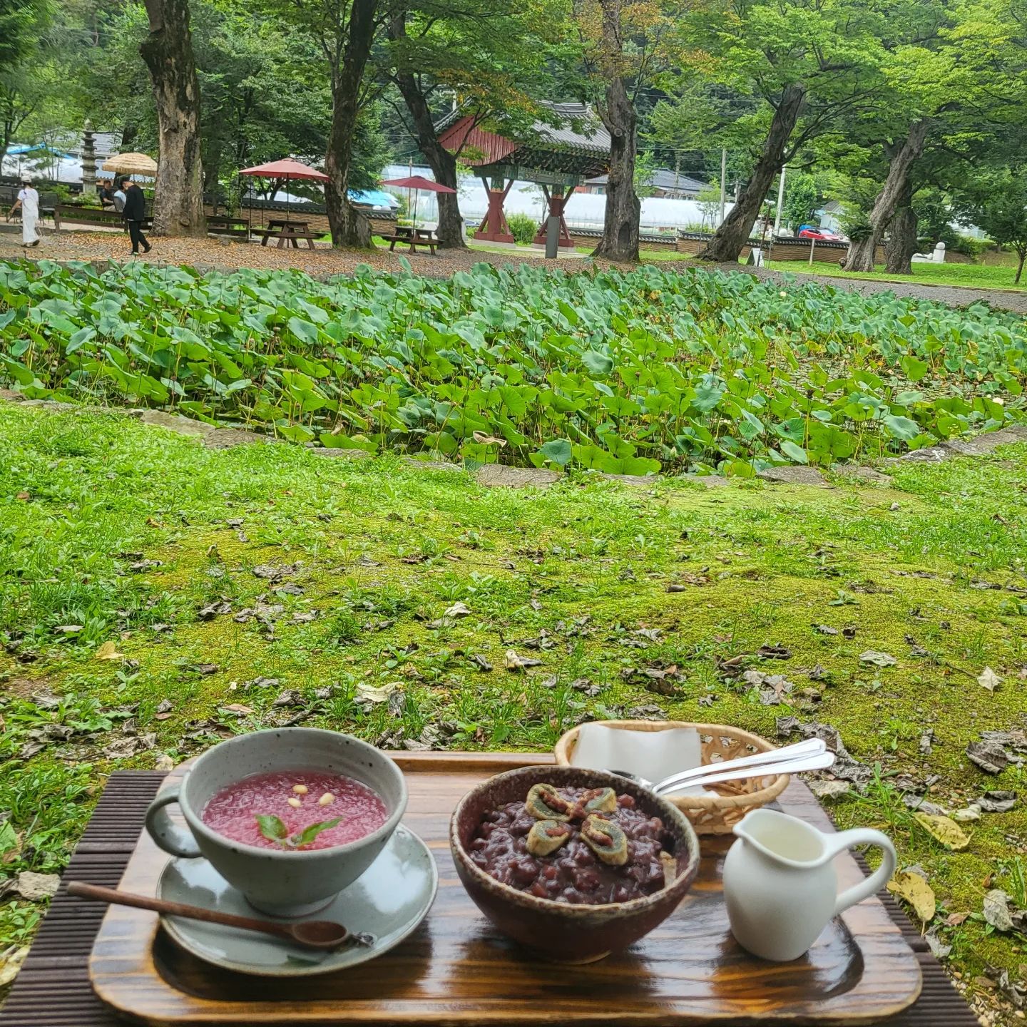 보덕사 안에있는 찻집 '세심다원'🍵

느티나무가 450년,600년이나 되었다고 했다😬😬

야외에 앉아 마시는 오미자차, 팥빙수 맛있음

테이블도 서로 떨어져있어서 조용하고 여유로움 🖼

연근이 연꽃에서 나온다는걸 태어나 처음 알게 되었음🙃🙃🙃
.
.
.
.
.
#영월여행 #강원도여행 #영월카페 #보덕사찻집 #보덕사다원 #보덕사 #캠린이
#맛스타그램 #여행에미치다_국내  #camping #travel