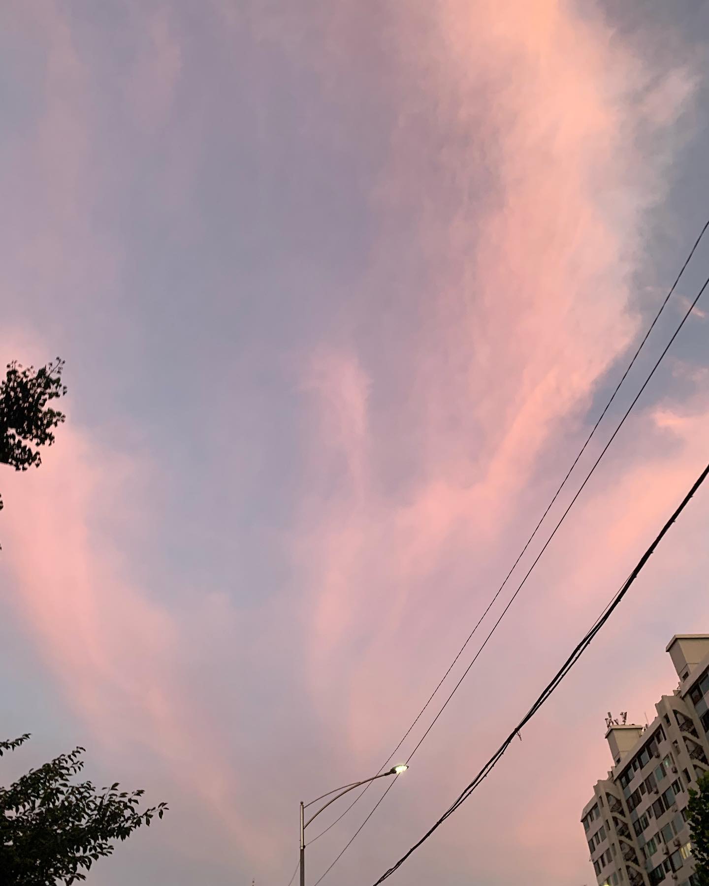 카이막 카이막