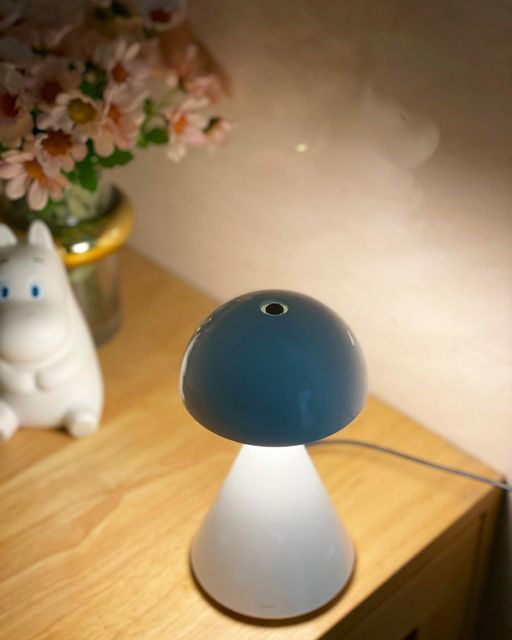 @voye_like on Instagram: "오도르 디퓨저 무드등..💡🤍 3단계로 밝기조절도 가능하고, 고체 향기블럭을 끼워 넣어주면 좋은향이 솔솔 퍼져요 🥰 2번째사진 보시면 크기아실 수 있어요. 버섯조명