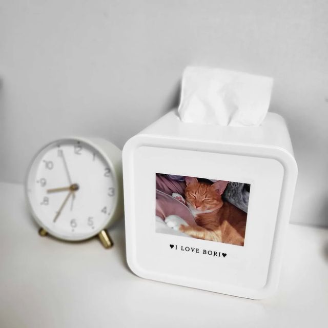 쩡아 on Instagram: "#협찬 사랑하는 보리로 꾸민 휴지케이스🥰 🎀블랙하비 내맘대로 화장지 케이스 👉🏻원하는 이미지나 문구를 활용한 디자인으로 마음대로 제작할수 있는 휴지케이스 👉