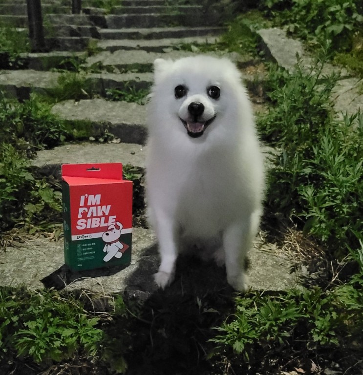 강아지수제간식, Impawsible