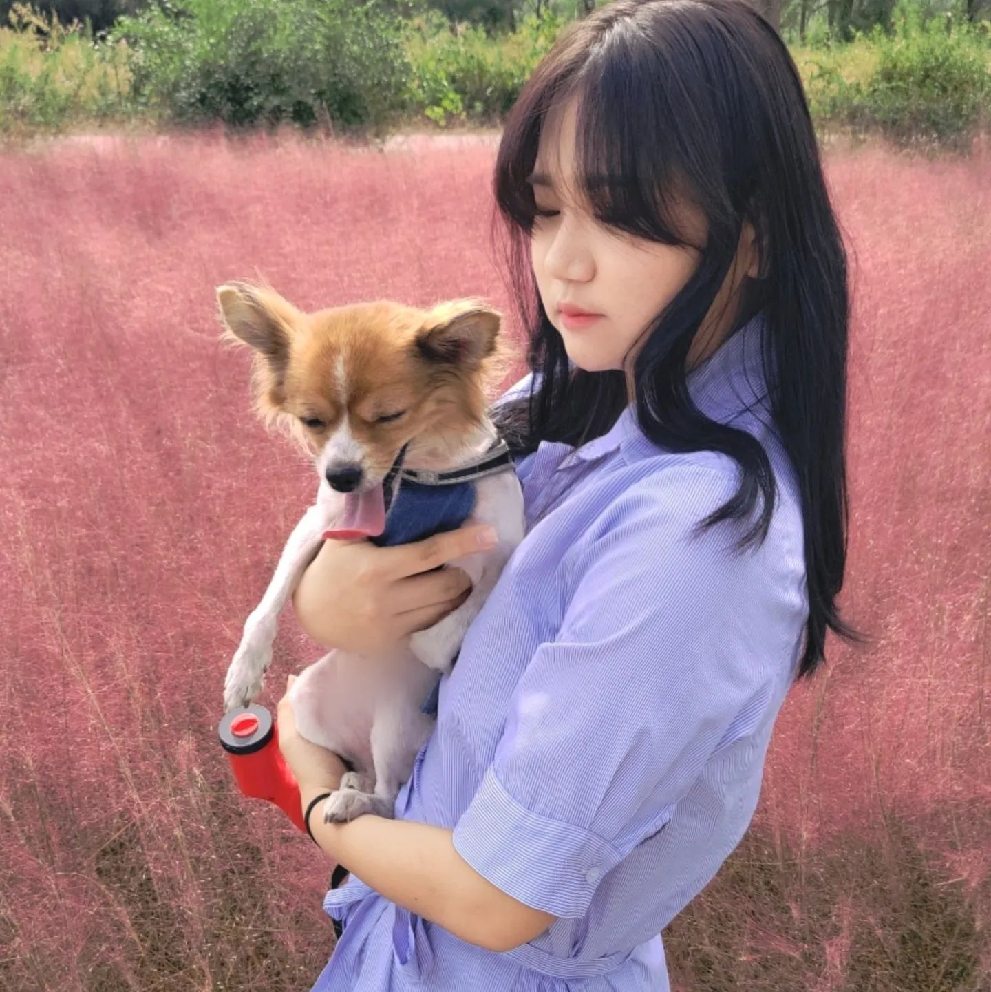 이제 가을이여🍁