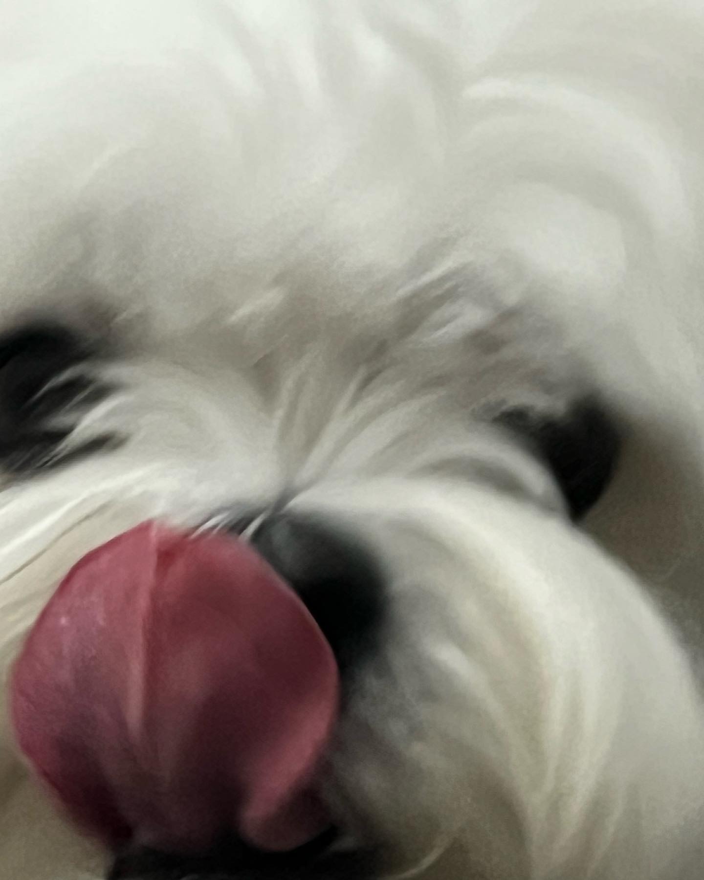 확 대 ٩(๑ಠ৺ಠ̃๑)ว
