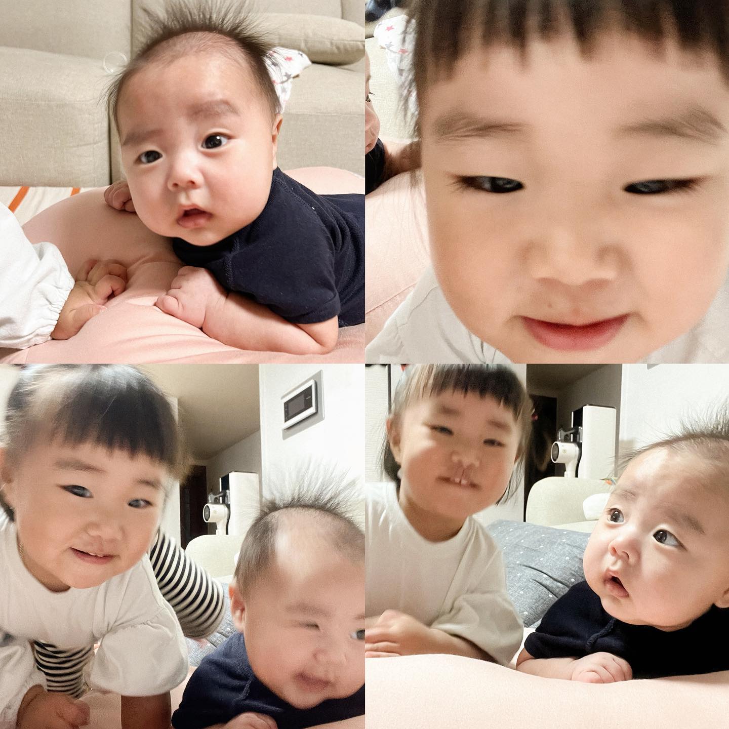 #221006 라엘x리안

리안이 델꾸 백일촬영 연습하는중에 
김라엘한테 습격당함ㅋㅋㅋ