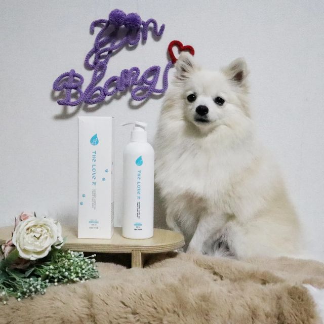 찐빵🐶 견플루언서 on Instagram: "#협찬 샴푸 유목민 칭구들 여기여기 모여라🙌 찐빵이가 사용한 샴푸는~🧐⁉️ ▶️The love개 저자극 강아지 샴푸 ✔️pH중성 포뮬라 저자극 샴푸👌 ✔️식