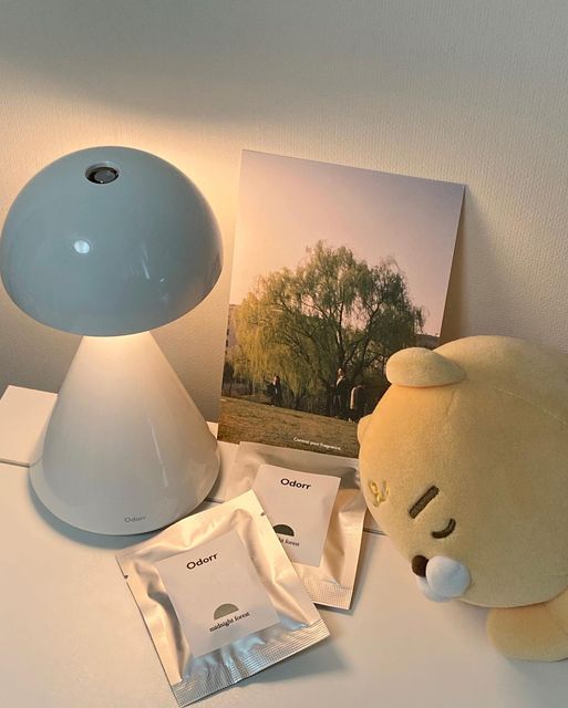 𝘌𝘶𝘯𝘨잉 on Instagram: "오도르 송이 라이트 디퓨저 디퓨저 & 무드등 두 마리 토끼 다잡은 물건 …👍🏻 디자인도 너무 이쁘고 방 분위기를 감성적으로 만들어준다 ☺️ 내가 좋아하