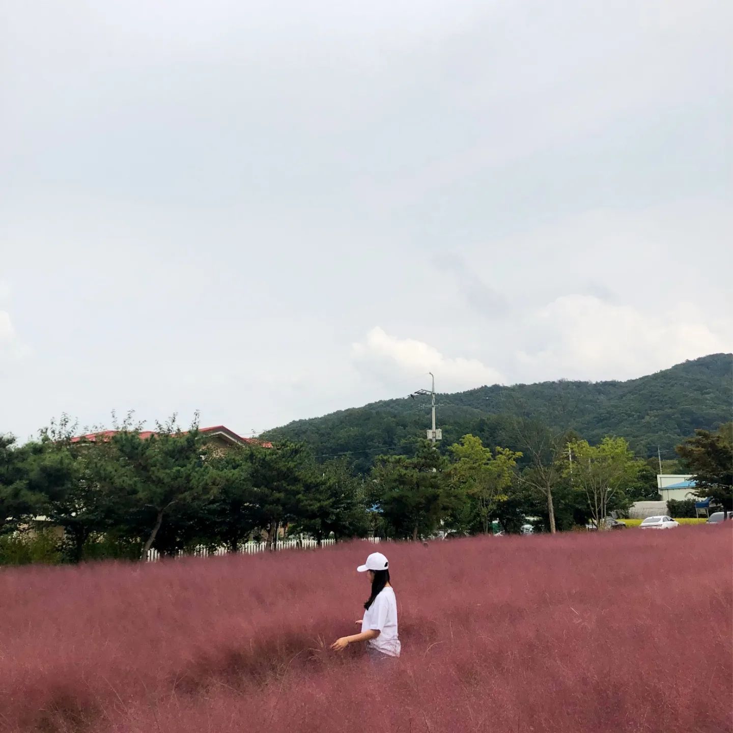 핑핑뮬리💖
