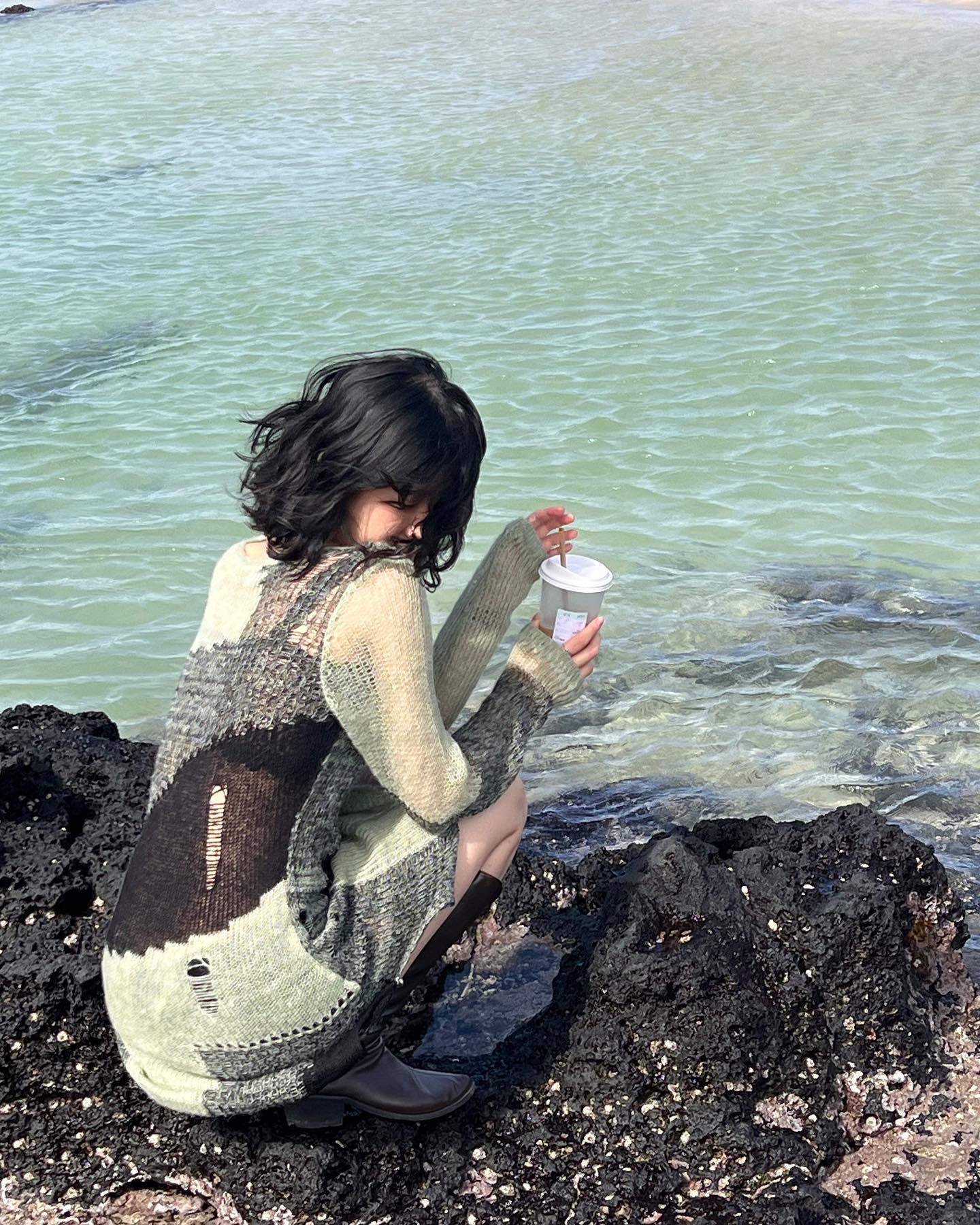 🌊🪨🌴🐬💦☀️🌿🍂🌳💙
