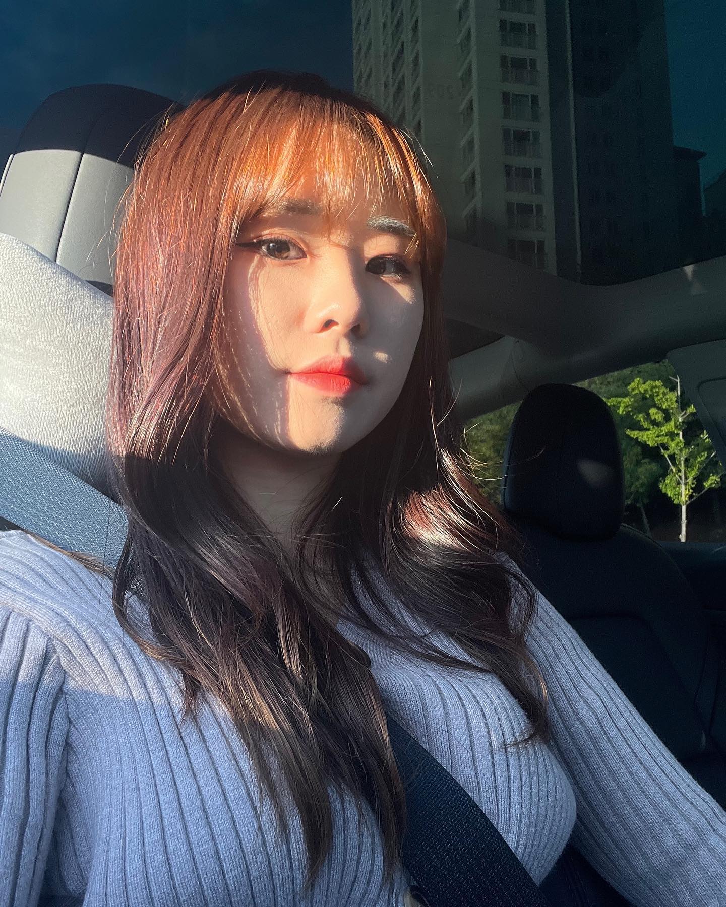 염색한기념 일카