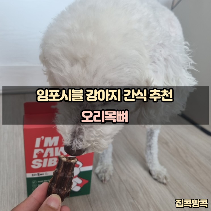 임포시블 강아지 간식 오리목뼈 추천