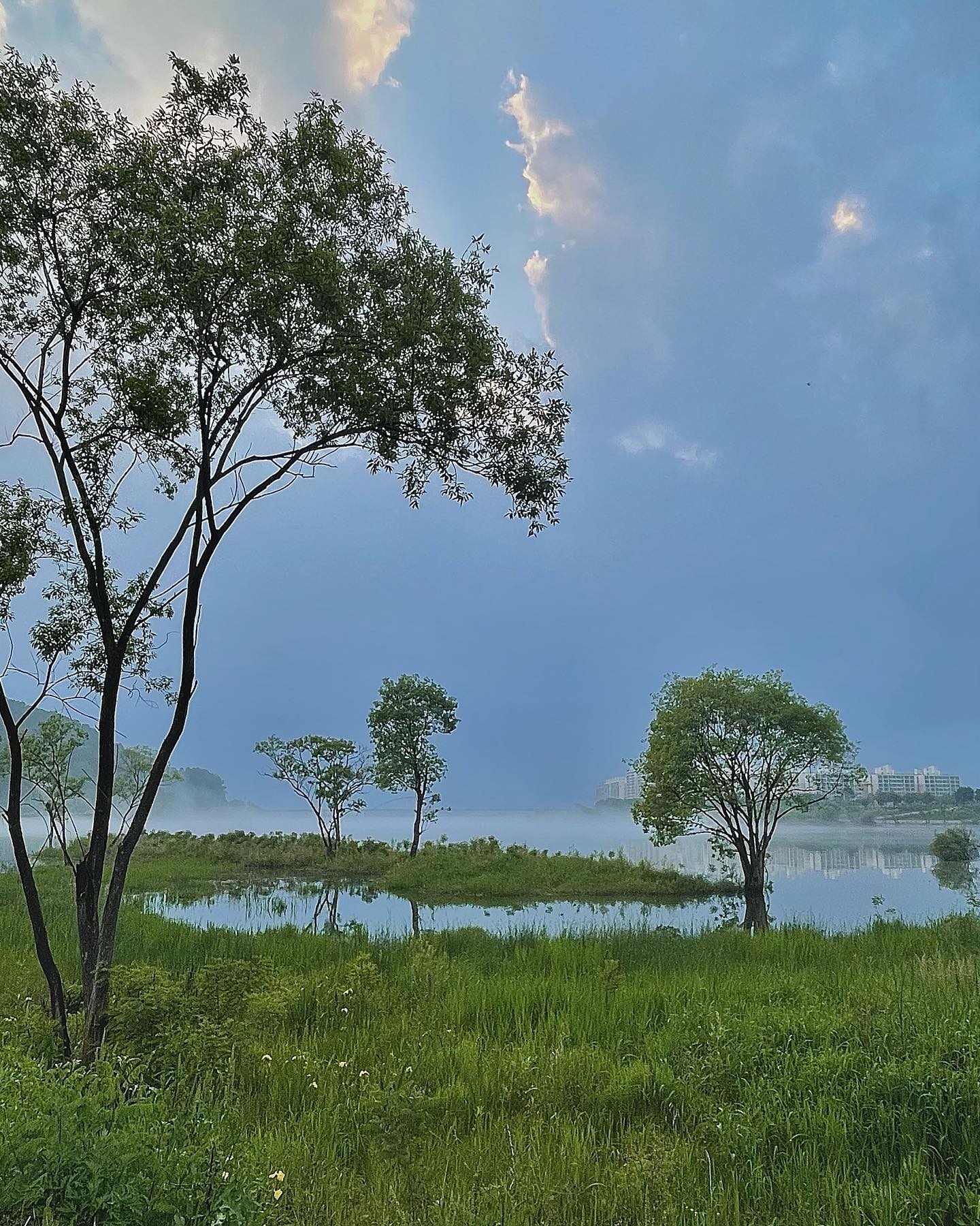 조깅하면서 찍(었)던거🌿