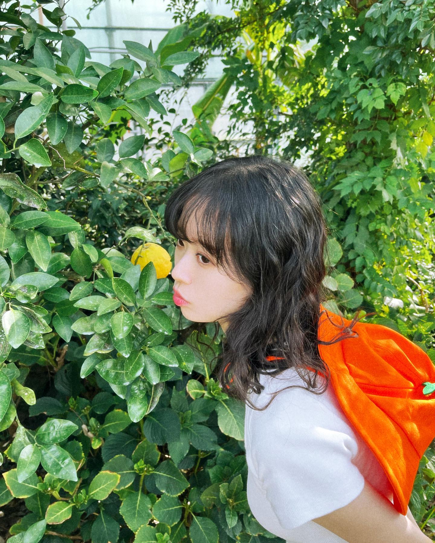 노란귤냄새~