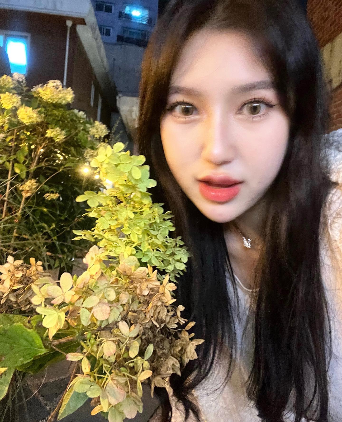 누가 꽃이게 ~