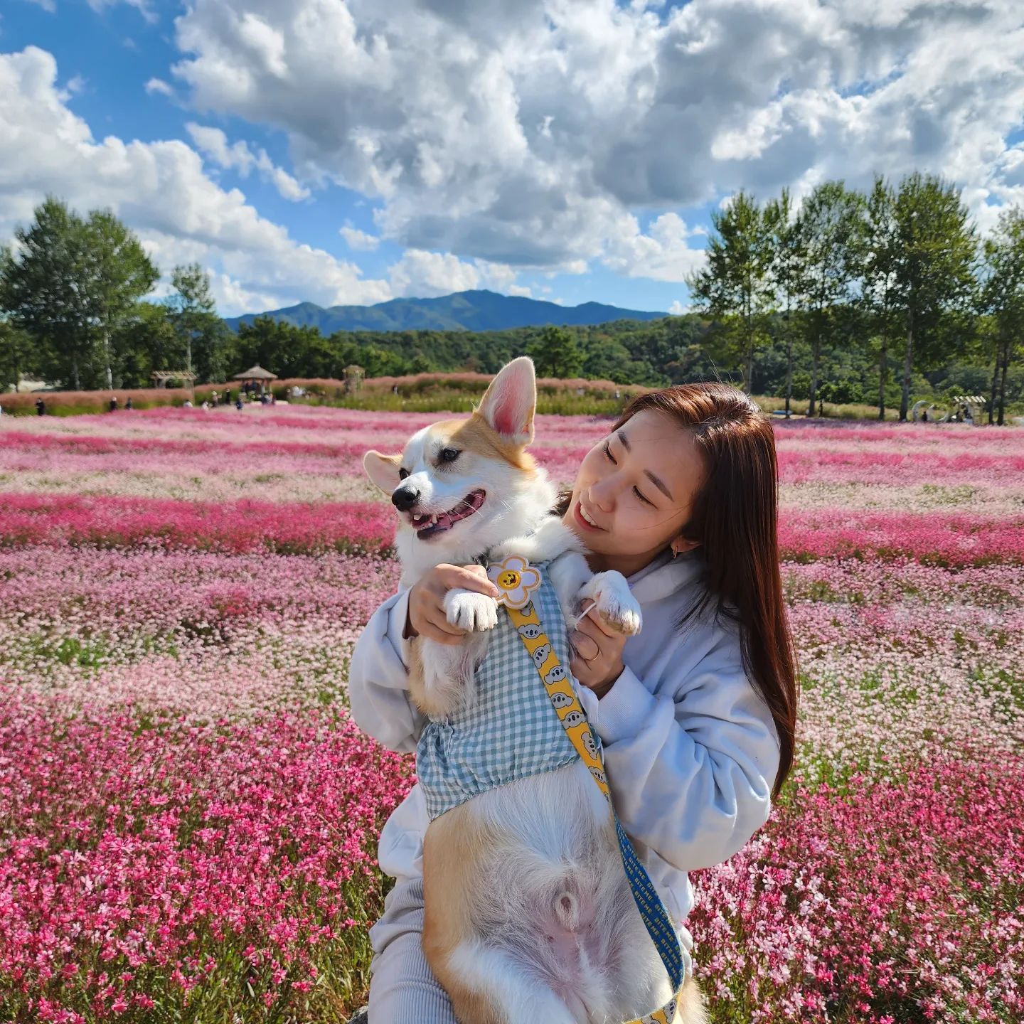 #고석정
주말에 다녀온 강원도 고석정이개
버거투어 추천하게!