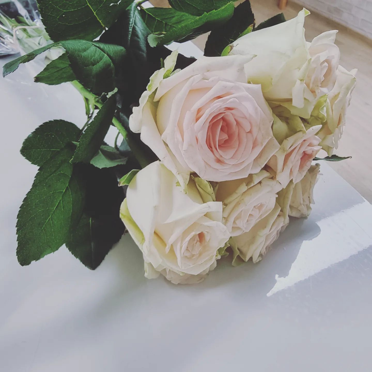 #협찬
❤️꽃은 보기만해도 기분좋아져요~
이렇게 예쁜 꽃을 
집🏘에서 편하게 
주문하면 된다는거 아세요?
새벽시장에서 당일 공수해온 
신선한 꽃이라⚘️🌷🌱🌼💐
더!더!더!  좋은것 같아요~

딜립 꽃 배송 서비스는
다양한 계절 꽃부터 싱그러운 소재류 화병도 판매하며 정기꽃구독 서비스도
제공하고 있어 정기적으로
꽃을 구입하시는 분들께도
추천👍드려요~

📣업체정보👉d-leaf.co.kr

📣프로필 하단 링크를 통해 구입가능합니다^^

☆포스팅메이커를 통해 상품협찬 받았습니다 ☆

#협찬 #딜립 #꽃배달 #꽃정기구독 #생화 #절화 #생화택배 #꽃배송 #꽃선물 #꽃추천 #꽃다발