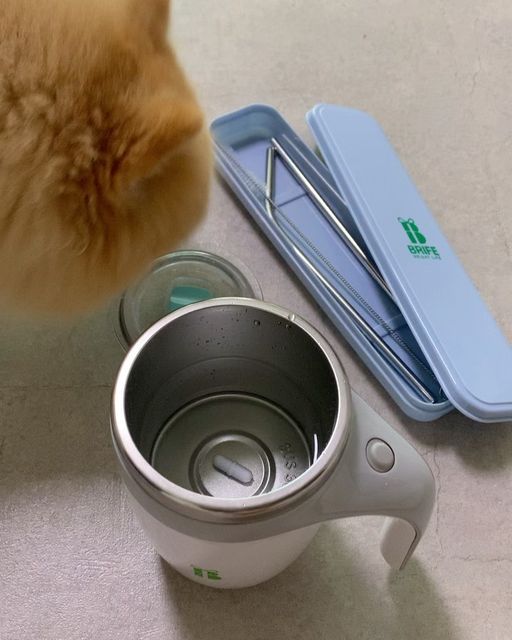 𝙷𝚢𝚎𝚘𝚗𝚢 on Instagram: "깨알등장 ) 호기심 가득 뽐🐶 간식 아냐,,,😅 ➰믹스커피 자주 먹는 직장인들 or 미숫가루 프로틴파우더 등등 타먹는거 좋아하시는분들은 집중‼️😆😆 알