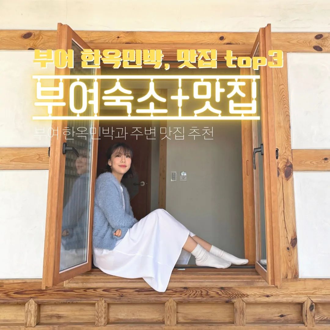 📍자세한 정보는 프로필 블로그에서 확인하세요🍄